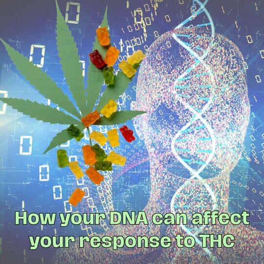 Unveiling the Influence of Genetics CYP2C9 and THC Interaction